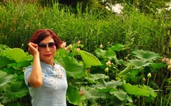 我将她侵犯1 6樱花动漫在线看